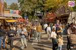 Bekijk deze foto groter. Foto: 'Sfeerimpressies 083'.